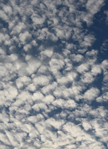 Stairwell image. Photo by Yvonne M. Estrada