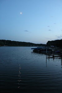 Poets at Work Reading at Skylight Books